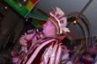 DSC_0066.jpg